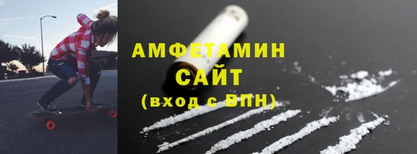 СК Гатчина
