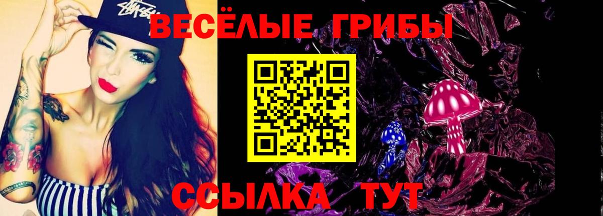 Галлюциногенные грибы Cubensis Кашира
