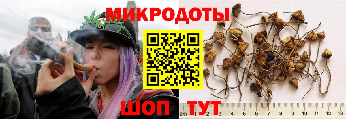 Кашира  Псилоцибиновые грибы ЛСД  Вход с VPN 